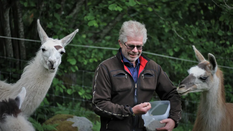 Michael Deltén förlorade sin fru till följd av psykisk sjukdom i fjol. Hon var den som tog initiativ till att skaffa de lamor som än i dag bor på gården.
