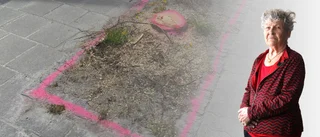 "Vem bestämmer över vad, kan man fråga sig, när träd längs Storgatan på Hemse fälls?"