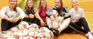Årets lag 2014