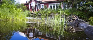 Hon vill att trädgården ska vara naturlig