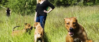 Hundägare står utan hundrastgård i Gnesta