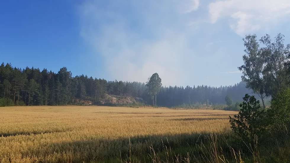 En skogsbrand började i Valdemarsviks kommun under söndagseftermiddagen. Branden inträffade i ett besvärligt område och brandflyg togs till hjälp.