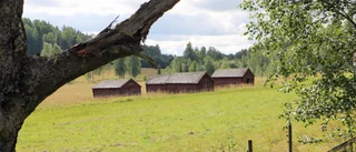 Tillgängligheten i Rosfors ekopark förbättras