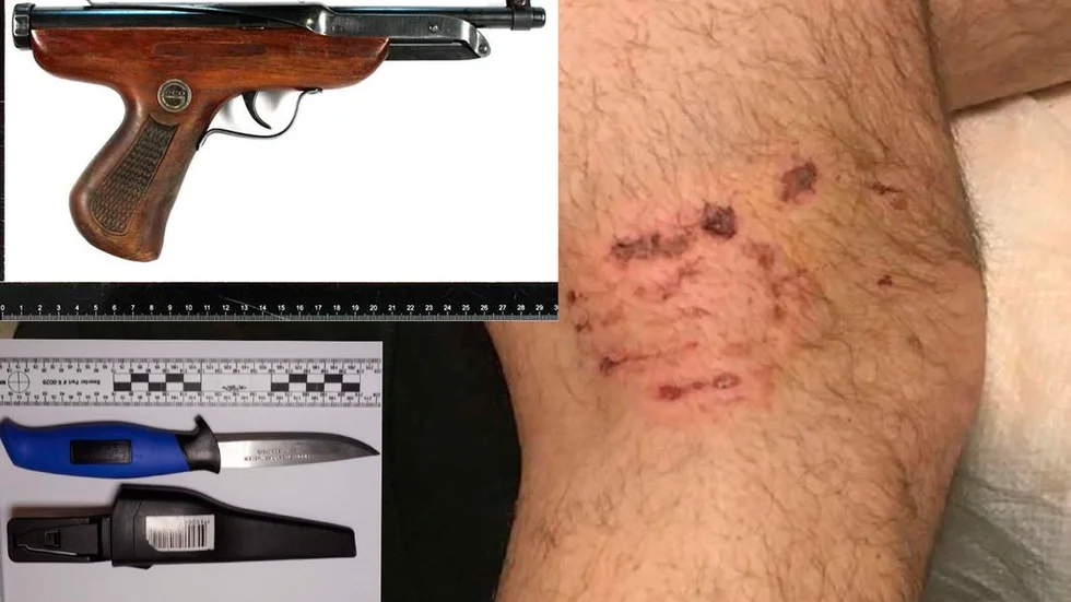 28-åringen förnekar all kännedom om luftpistolen som ska ha använts vid rånet. Mannen som togs av polishunden fick bitmärken på kroppen.