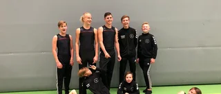 Fina insatser av Eskilstunagymnaster