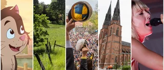 Kan du mer om Uppsala än nya landshövdingen?