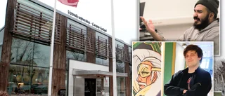 Pluggade på Gotland – nu gör de karriär inom speldesign