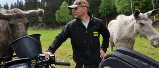 Älgparksägare köper fler fastigheter