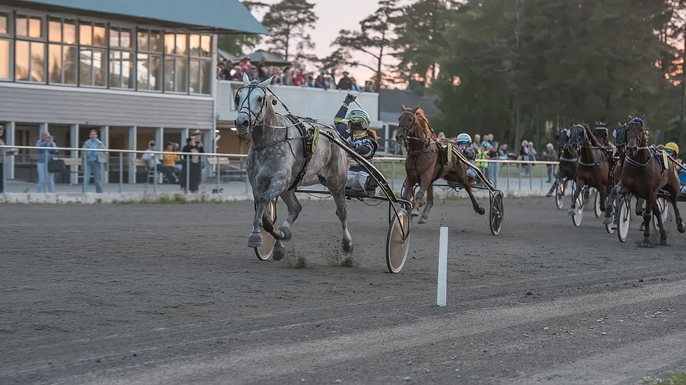 Niras Donatello under loppet och på väg mot segern i Damdagens största lopp.