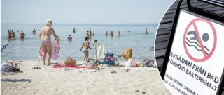 Så bra är kvaliteten på badvattnen längs Gotlands stränder