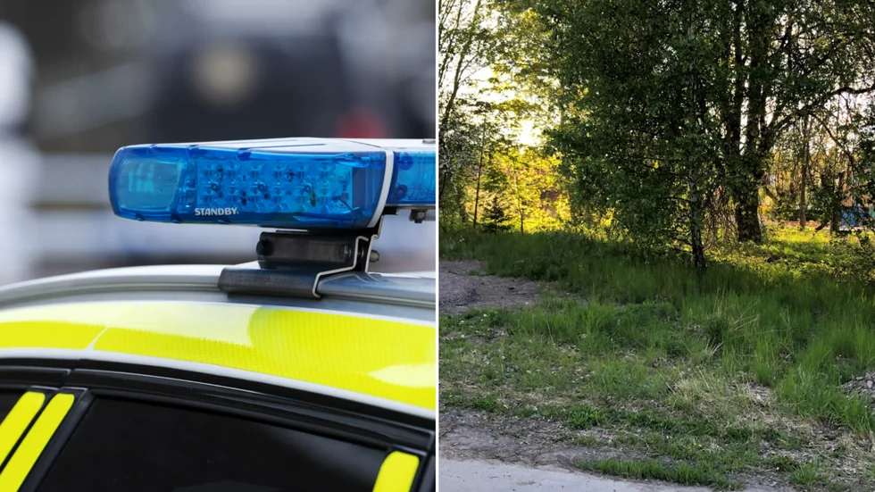 Polisen kunde beslagta några elsparkcyklar som hittats i en skogsdunge vid Karstorp. Bilden föreställer en helt annan skogsdunge.
