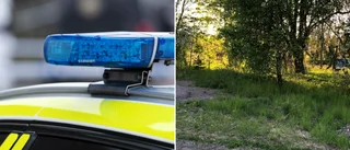 Gömma med elsparkcyklar hittad – i skogen på Karstorp