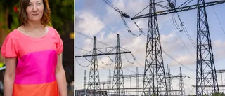Luleå energis projekt avslöjade 1000 MW i luftbokningar