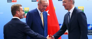 Nato är Ulf Kristerssons triumf