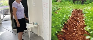 En lummig hemlighet är på vandring genom Småland