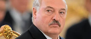 Oppositionsaktivist dömd i Belarus