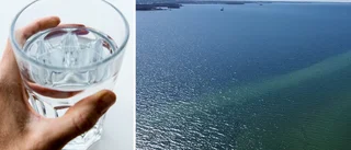 Skarpt läge för Vätterns framtid
