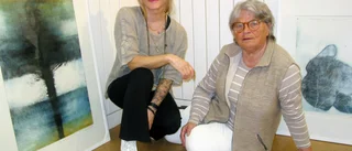 Rutinerade konstskapare ställer ut i Arvidsjaur