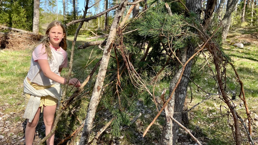 Meja Lundkvist och hennes två klasskompisar löser snabbt uppgiften de fått under torsdagens naturskola. Bygga en koja åt trollet; check! 