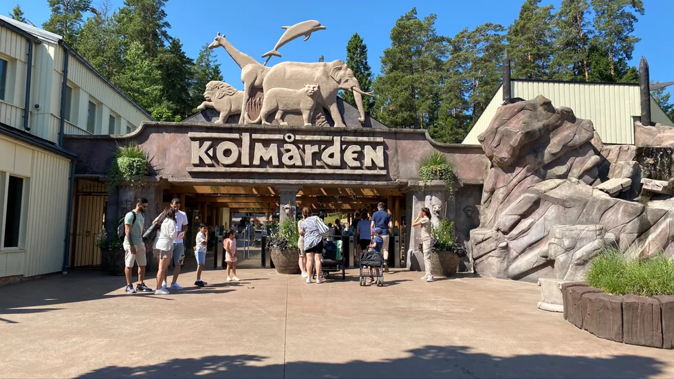 Vi var på plats vid Kolmårdens djurpark dagen efter den tragiska dödsolyckan på Gröna Lund.