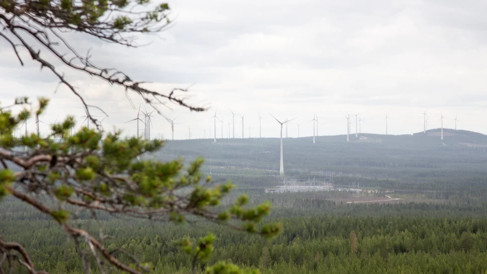 Hur ska de gröna projekten i Norrland få tag på all den el som behövs?