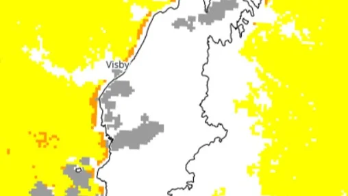 SMHI:s satellitbild visar hur algblomningen ser ut runt Gotland. De gula områdena innebär risk för ytansamling och de orangea innebär bekräftad ytansamling. 