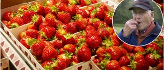 Då kan du handla närodlade jordgubbar