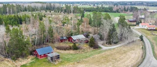 Liten hästgård lockade besökare från hela länet