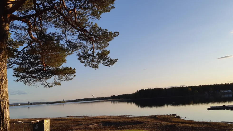 Dagens läsarbild.