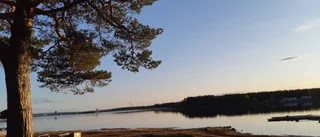 Läsarbilden                    