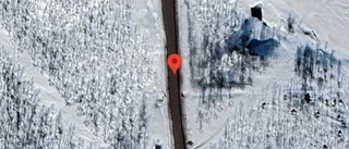 Trafikverket varnar för älg på vägen på E10