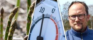 Odlarens tröst efter frostnätterna: "Bättre att det händer nu"