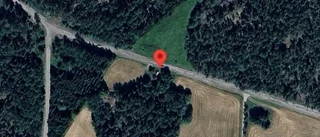 Problem i trafiken efter nedfallna träd på väg 515