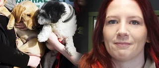 Micaela, 32, har adhd – gick från Samhall till drömjobb med djur