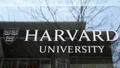 Chock och oro efter Trumps Harvardbesked