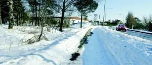 Fritidsföretag expanderar och vill bygga ut