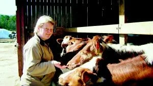 Gillar kor. Ingela Svensson har alltid tyckt om kor. Det intresset och stort engagemang för näringen är på väg att föra henne in i Arla Foods styrelse.
