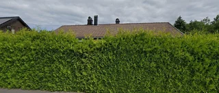 Hus på 99 kvadratmeter från 1972 sålt i Fågelsta, Motala - priset: 2 100 000 kronor