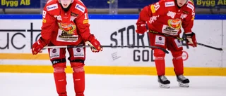Almtuna känns igen – trots att de är så oberäkneliga
