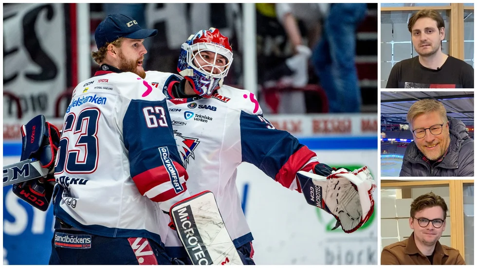 Hockeypanelen