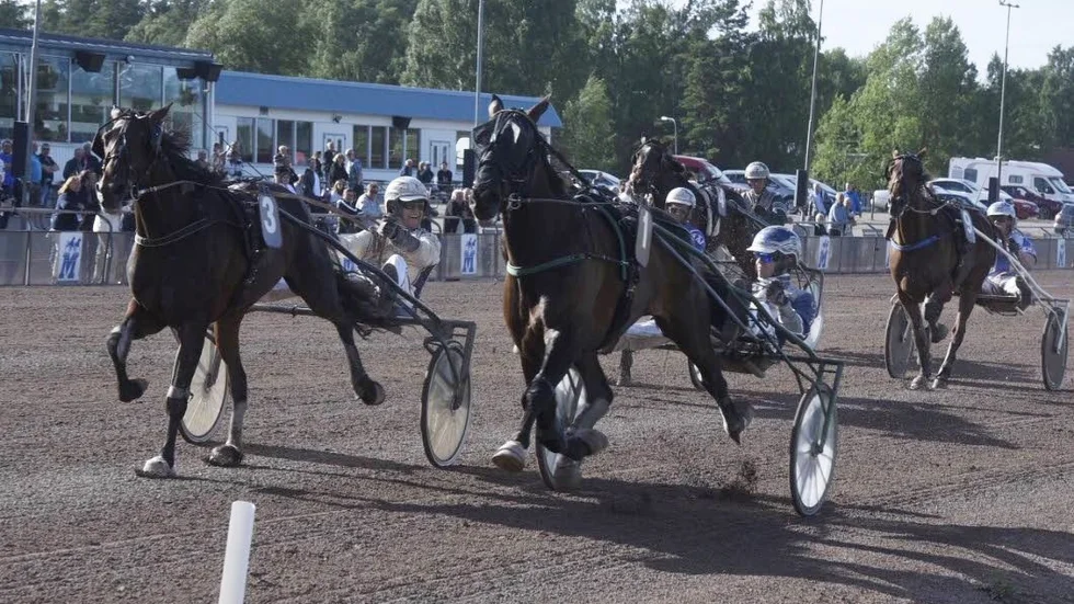 Kusken och travtränaren Oskar J Andersson (nummer ett) är ett av helgens hemmahopp då Sundbyholmstravet bjuder på dubbla V75 och Breeders' Crown-finaler.