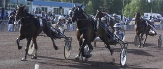 Inför Breeders' Crown: Hemmahoppet drömmer om den riktigt stora fullträffen – jagar segerchecken på 800 000 kronor