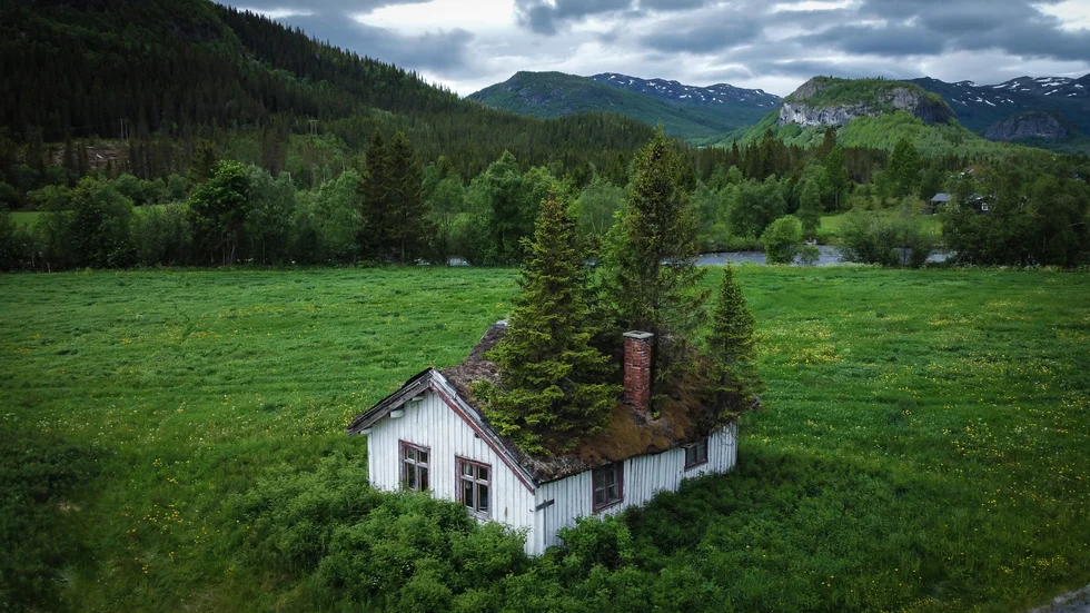 Många övergivna hus finns i vackra naturområden. Med lite jobb kan de bli perfekta familjehem.