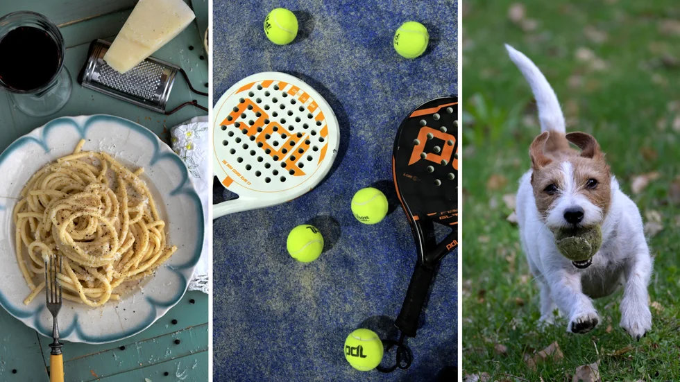 Matlagningsfantast, padelproffs eller hundälskare - hur ska du egentligen presentera dig i din dejtingapp? 