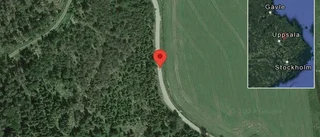 Fallna träd skapar problem i trafiken på väg 680