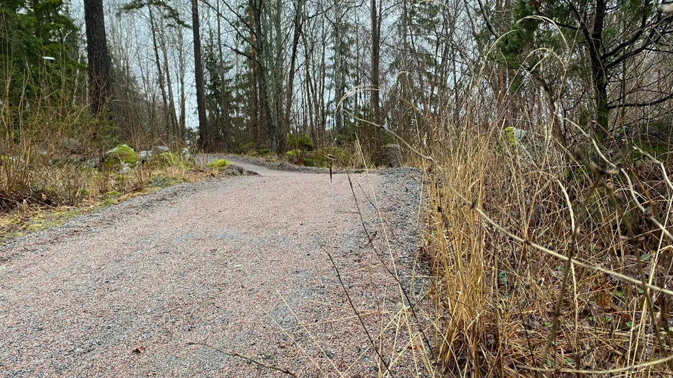 En tonårsflicka utsattes på måndagskvällen för våldtäktsförsök i södra Gottsunda. Polisen har inte uppgett exakt position, men det ska ha skett i närheten av Granelidsvägen och Kvarnvägen. Ett dygn innan utsattes en 20-årig kvinna för ett övergrepp i Gamla Uppsala/ Nyby.