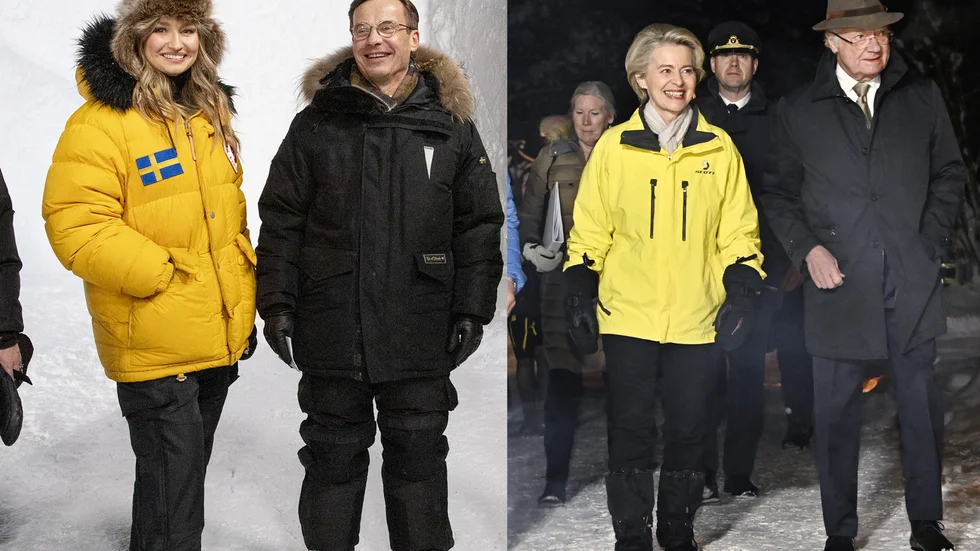 "Det är lätt att dela in deltagarna i fyra olika kategorier av människor utifrån vilka väyrönenska masker de ville gömma sig bakom."