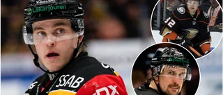Avslöjar: Här är backarna Luleå Hockey vill värva
