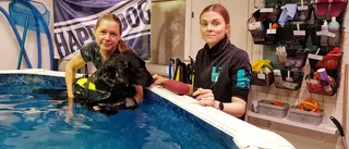 Hundhälsan förlorar sina lokaler
