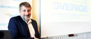 Hammarbergh: "Sverige på väg åt fel håll"